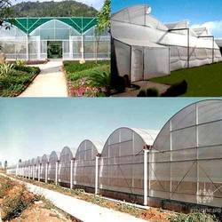 Tunnel Type Greenhouses